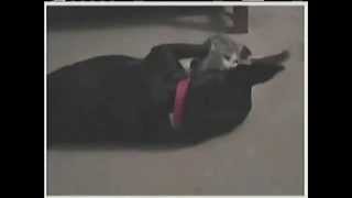 Ned&#39;s Atomic Dustbin - You Don&#39;t Want to Do That