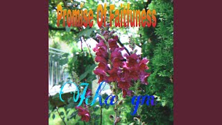 Download lagu Promise Of Faitfulness mp3