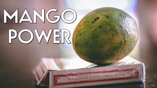 Learn the MANGO TURNOVER (pigcake tutorials)