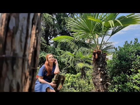 Vitrina e librit/ Shpirtra të shitur- Kleo Lati