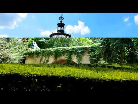 Париж ботанический сад