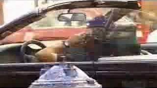 How William Shatner Changed the World