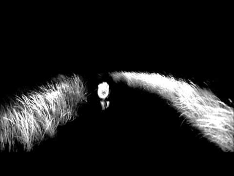 TMSV - Smoke [December 2011 EP]