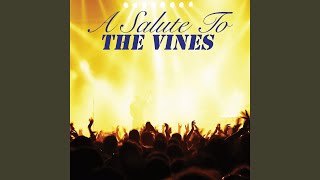 She’s Got Something To Say To Me (Cover Version)