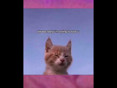 AG x Beebilõust - narkomaan (slowed)(pitched)