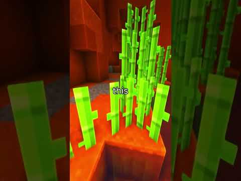 This AI Secret Changes Everything (Neural Architecture Search)