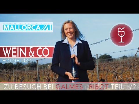 Mallorca Eins.TV - Wein&CO #001 Zu Besuch bei Galmes i Ribot Teil 1von 2