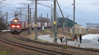 列車番号4091　EF510-6　羽越本線（坂町～平林）60P　19/03/23
