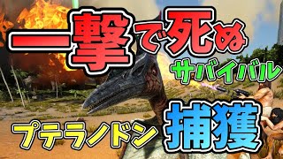 【3人実況】プテラノドンを仲間にする！一撃で死ぬ恐竜サバイバル！【ARK:Survival Evolved】