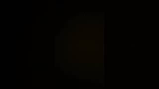 世界一短い動画 The shortest video in the world