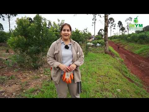 Jornada de Capacitación con productores de Colonia Guatambú, Montecarlo (Misiones)