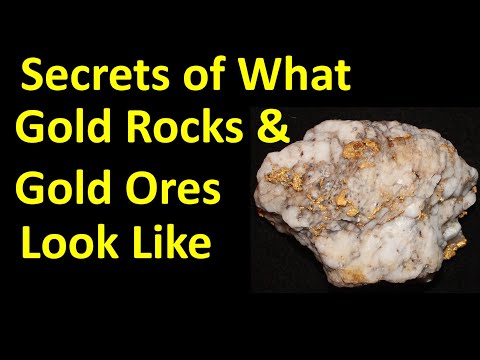 Gold Expert Reveals What raw GOLD Looks Like in Ore Rocks