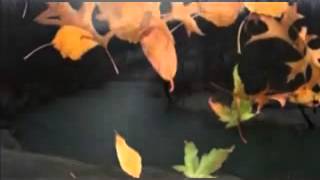 Don't Wait Too Long    Vince Castro x264