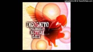 Love Be The Messenger ♫ Incognito Ft. Vanessa Haynes