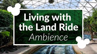 Living with the Land Ambience | Disney World Epcot Living with the Land Barn and Exit Music Loop