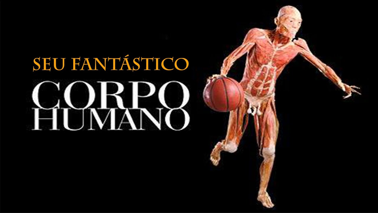 Seu fantástico corpo humano - Como seu corpo controla a temperatura