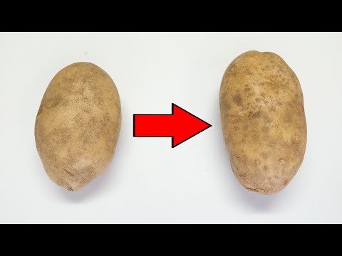 Can you cook a Potato with a Potato?