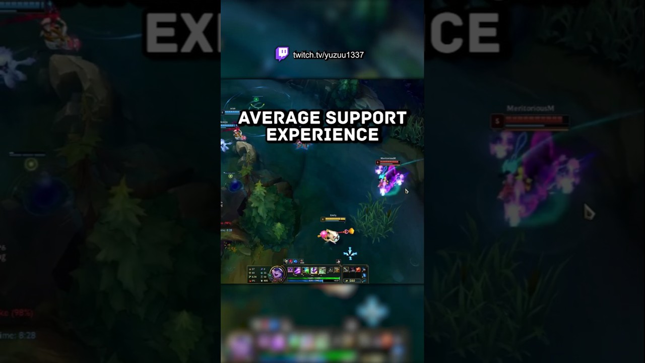 This is why SUPPORT is HARD
