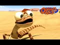 Oscar S Oasis MARCH COMPILATION