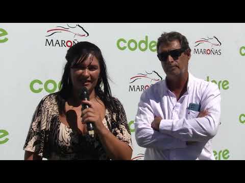 230205 c02 I Leguisamo/ MARAVILLOSO