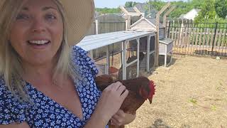 Meet My Backyard Chickens 🐔 | Fresh Eggs, Coop Tour & Flock Personalities!