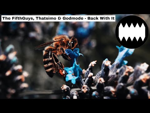 The FifthGuys, Thatsimo & Godmode - Back With It