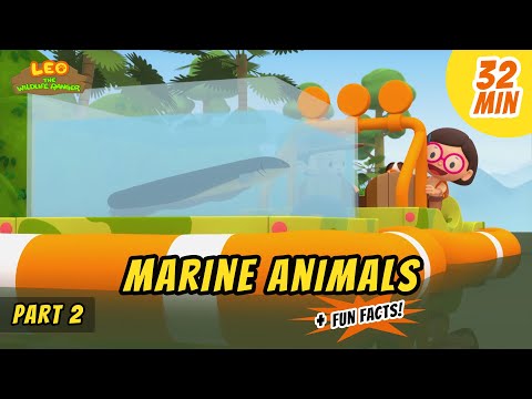 Witness21 Editor  2020 07 23