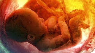Abortion: The Mass Murder of Children Part 1