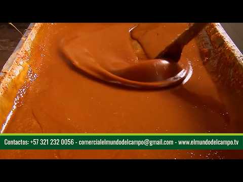 18 ABRIL   CAP 2   TRAPICHE LA RUBIELA   ALCALA   VALLE