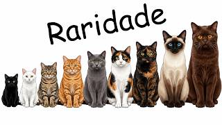 Cada Cor de Gato Explicado em 10 Minutos