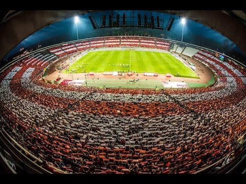 Top-5 Ultras of the Week (01.08 - 06.08) Ultras World