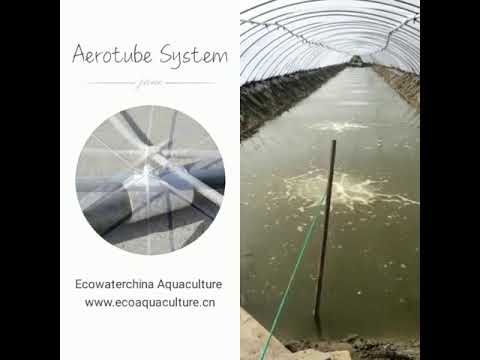 , title : 'Aerotube hose New Aeration'