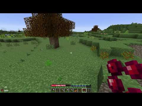 Terrafirmacraft Episode 76