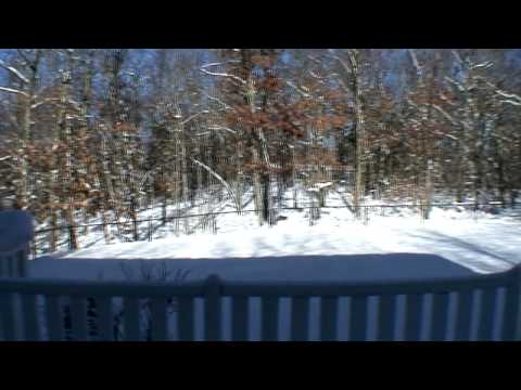 8 Owl Drive, Sharon, Massachusetts real estate for sale