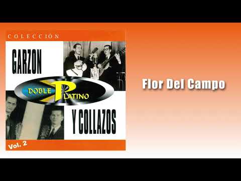 Flor Del Campo - Garzón Y Collazos | Música Colombiana | Cover Audio