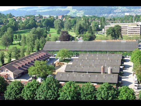 Das Nationale Pferdezentrum Bern -  Das Schweizer Kompetenzzentrum rund um das Pferd