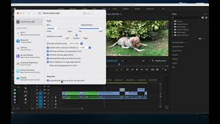 How to run Adobe Premiere Pro in Apple macbook in Full screen