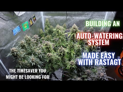 Building an Auto-Water System from Start to Finish + Coco coir retouch