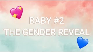 Huisje, Boompje,  Baby - NUMBER 2 -   Episode 1  - THE GENDER REVEAL