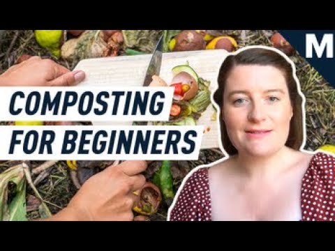 Composting 101: Kitchen Waste to Garden Gold | Mashable