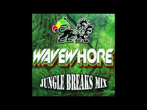 Wavewhore - Jungle Breaks DJ Mix