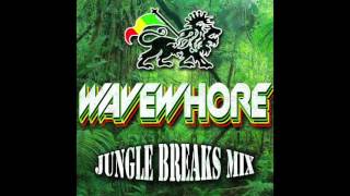Wavewhore - Jungle Breaks DJ Mix