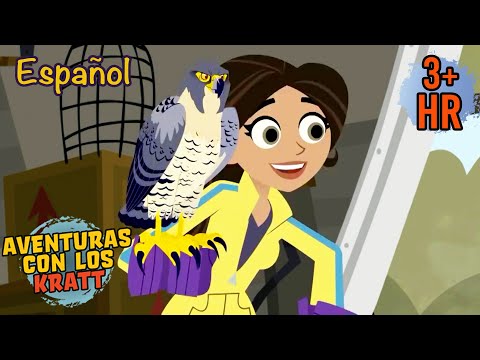 Una misión de rescate de aves [episodios completos] Aventuras con los Kratt