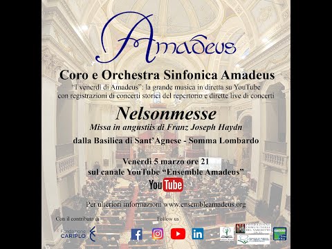 Nelsonmesse - Coro e Orchestra Sinfonica Amadeus