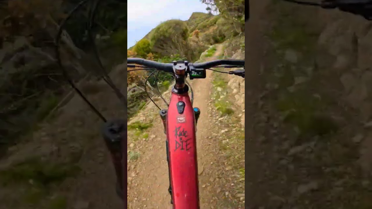 YouTube Short thumbnail