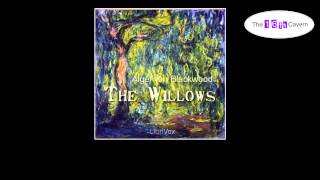 The Willows (1 of 2) (audiobook)