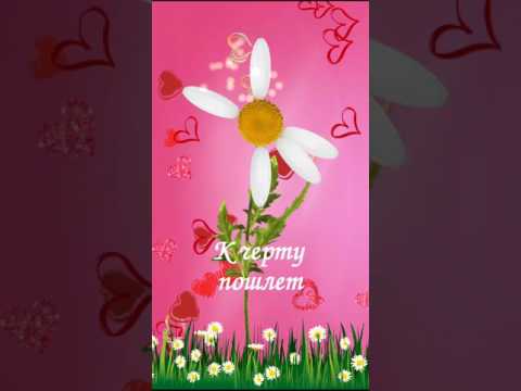 Любит не любит гадание Video