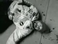 Brand Nubian Punks Jump Up To Get Beat Down