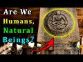 Were Humans Genetically Modified 12 000 Years Ago In Ancient India