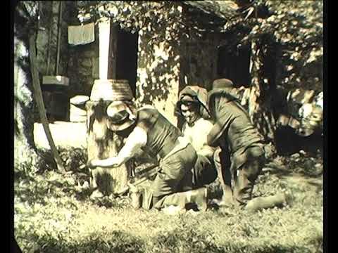 Los bornhons de Dalmairac